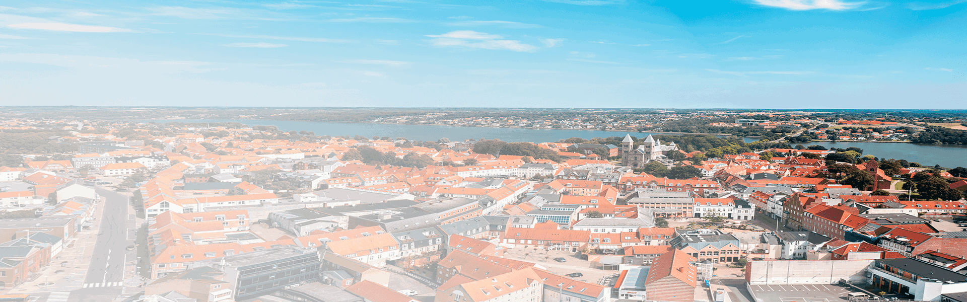 Viborg