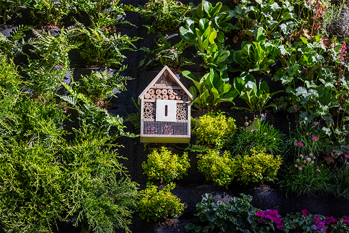 Bravida Energiatehokkuusratkaisut kuvituskuva luonto